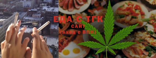 прущие грибы Горняк