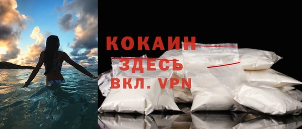 прущие грибы Горняк