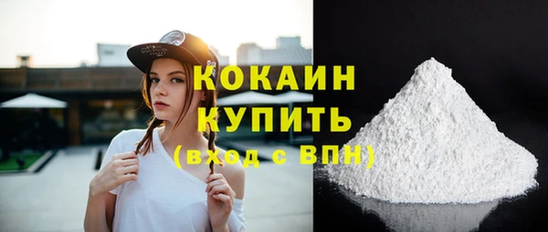 прущие грибы Горняк