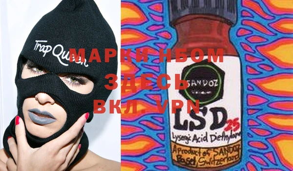 прущие грибы Горняк