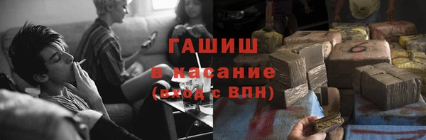 прущие грибы Горняк