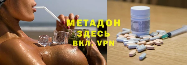 прущие грибы Горняк