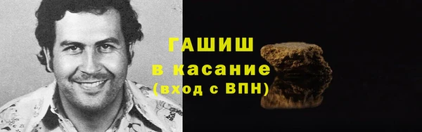 прущие грибы Горняк