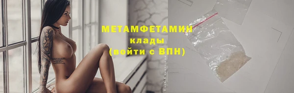 прущие грибы Горняк